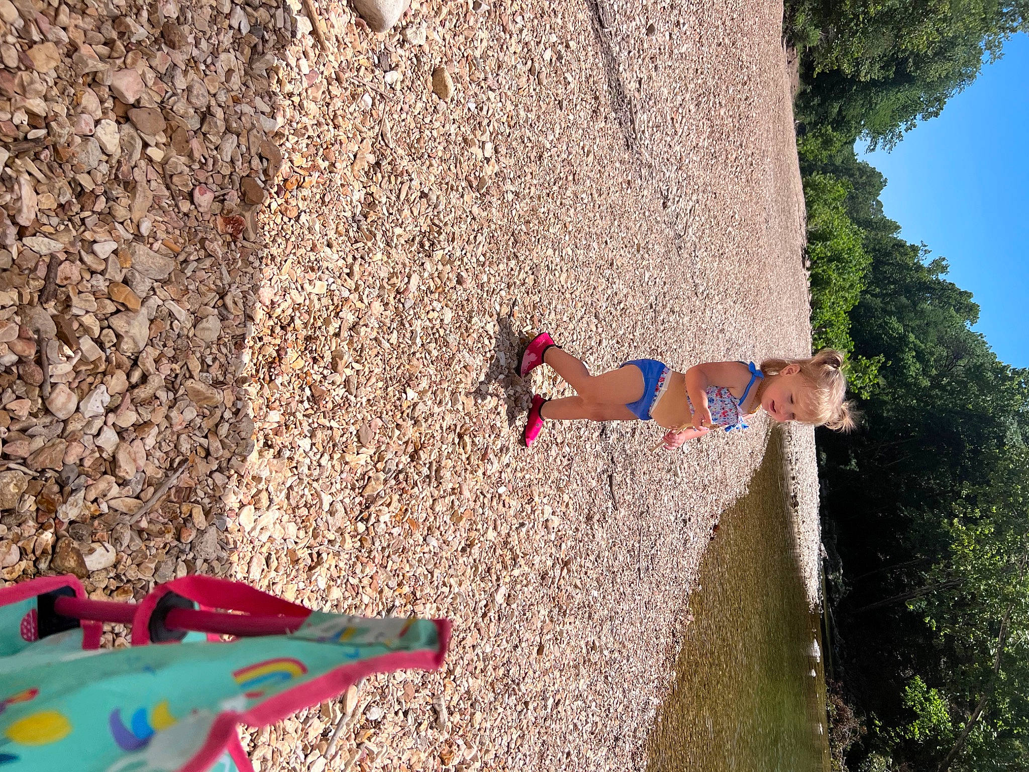 Piper joined the competition — help win amazing prizes! azure, carmine, dress, electric_blue, fun, grass, human_leg, landscape, leisure, people_in_nature, person, plant, plastic, recreation, red, shadow, sky, soil, tree, wall