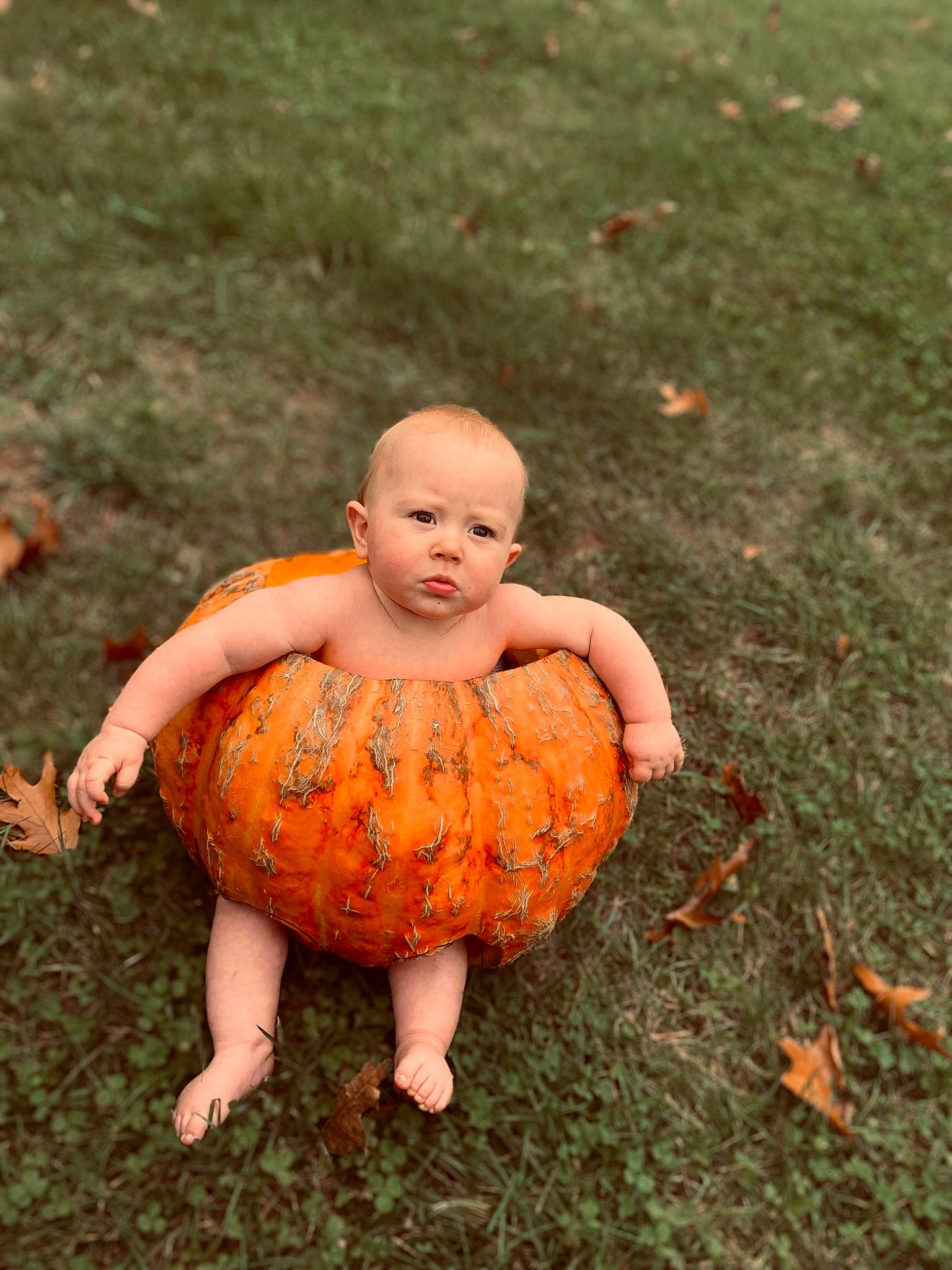 Brantlee is registered to the contest to win money with this photo: baby, baby_toddler_clothing, ball, barefoot, child, eye, foot, grass, happy, human_body, people_in_nature, person, plant, pumpkin, sitting, smile, soil, toddler, tree, winter_squash