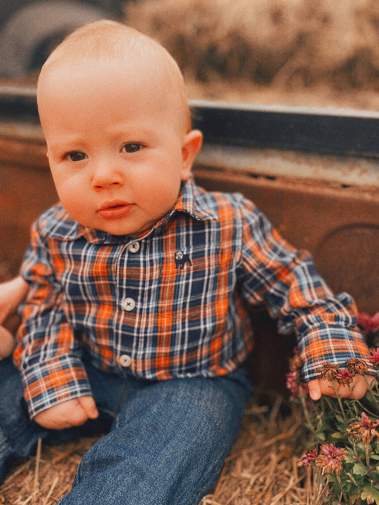 Brantlee is registered to the contest to win money with this photo: baby, baby_toddler_clothing, child, dress_shirt, eye, flooring, grass, hairstyle, jeans, nose, orange, pattern, person, plaid, plant, sitting, sleeve, t_shirt, tartan, toddler