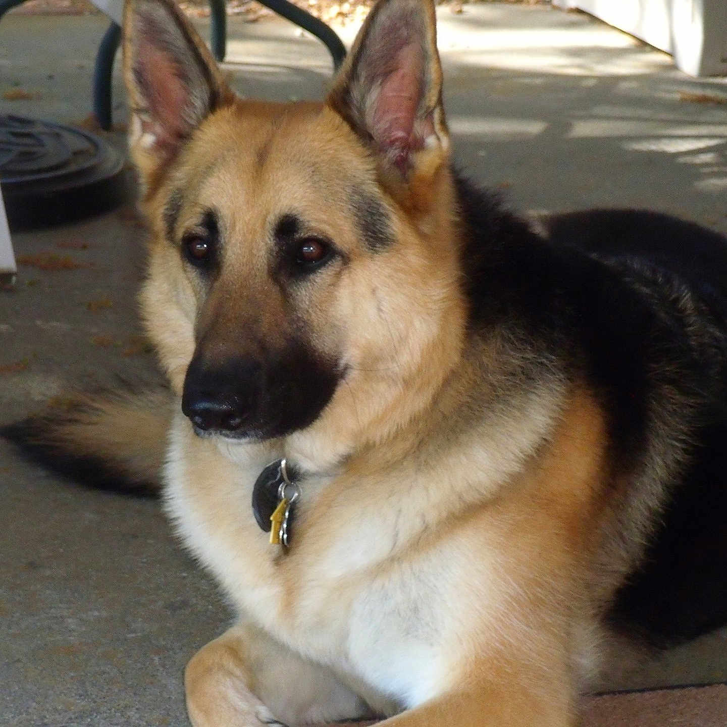 Meela