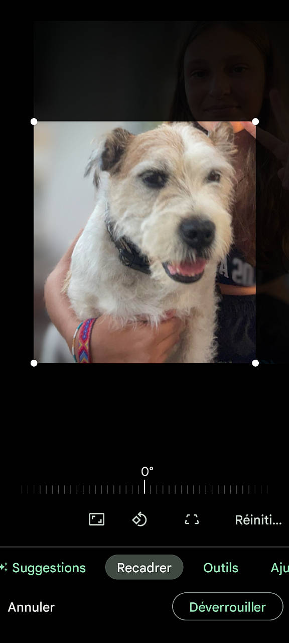 Moustik a rejoint le concours — aidez-le/la à gagner de superbes lots ! art, carnivore, collar, communication_device, companion_dog, display_device, dog, dog_breed, electronic_device, flash_photography, font, gadget, gesture, multimedia, paw, photo_caption, rectangle, screenshot, snout, working_animal