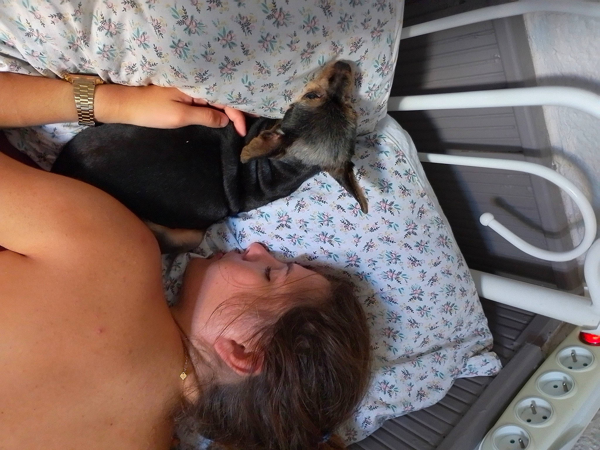 Kelly participe au concours pour gagner de l'argent avec cette photo : arm, beard, chest, comfort, companion_dog, dog_breed, elbow, fawn, felidae, fun, fur, gesture, human_leg, leg, mammal, small_to_medium_sized_cats, thigh, vacation, vertebrate, wildlife_biologist