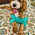 Jake