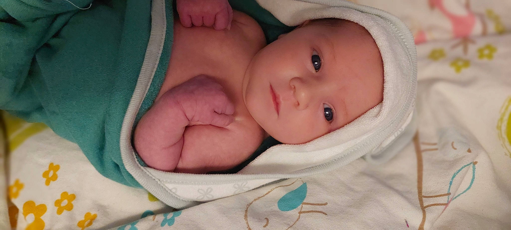 Emmalynn is registered to the contest to win money with this photo: baby, baby_products, baby_toddler_clothing, cheek, child, comfort, event, eyelash, happy, headwear, iris, linens, person, portrait_photography, skin, toddler