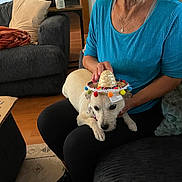 Sadie is registered to the contest to win money with this photo: black_leggings, blue_shirt, carpet, casual_clothing, couch, dog, hand_sanitizer, hat, holding, home, indoor, pet, pillow, relaxed, sitting, small_dog, sombrero, table, woman, wooden_floor