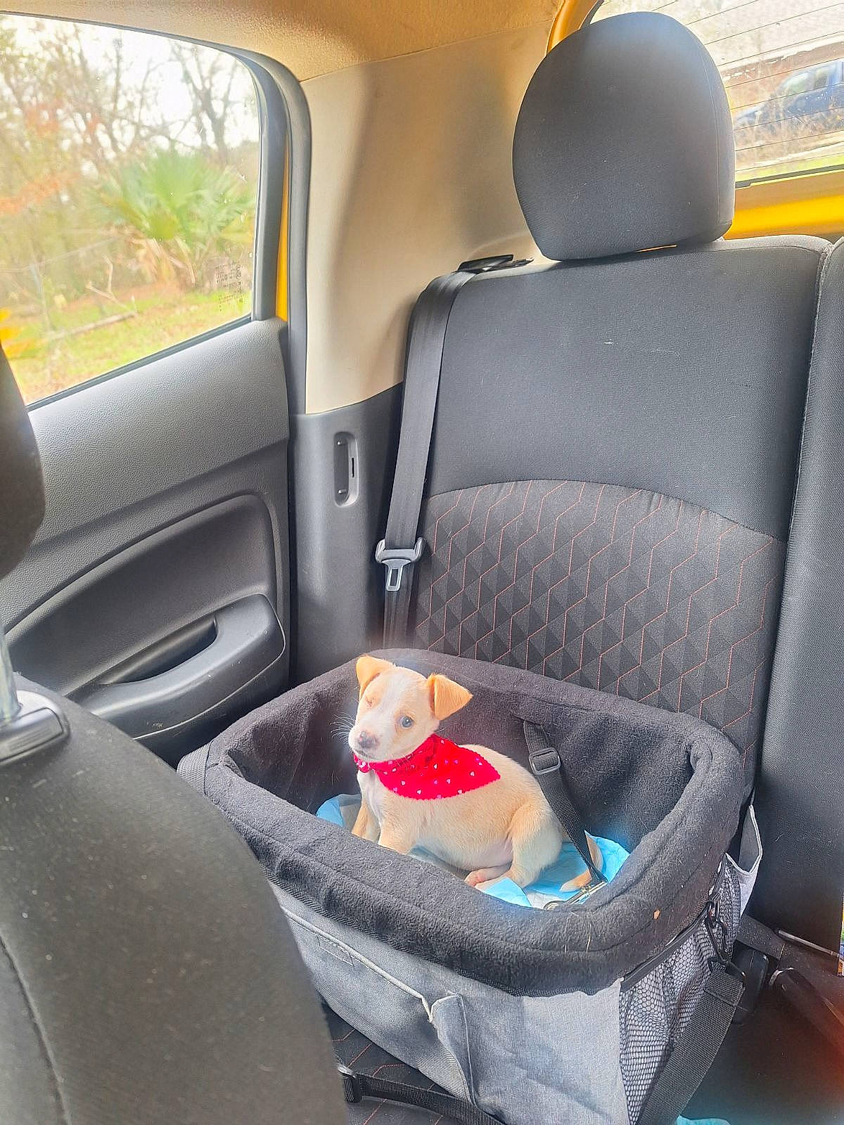 Kilo is registered to the contest to win money with this photo: auto_part, automotive_design, automotive_exterior, car, car_seat, car_seat_cover, family_car, fixture, head_restraint, luxury_vehicle, mid_size_car, mode_of_transport, motor_vehicle, personal_luxury_car, plant, seat_belt, tints_and_shades, vehicle, vehicle_door, window