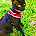 George