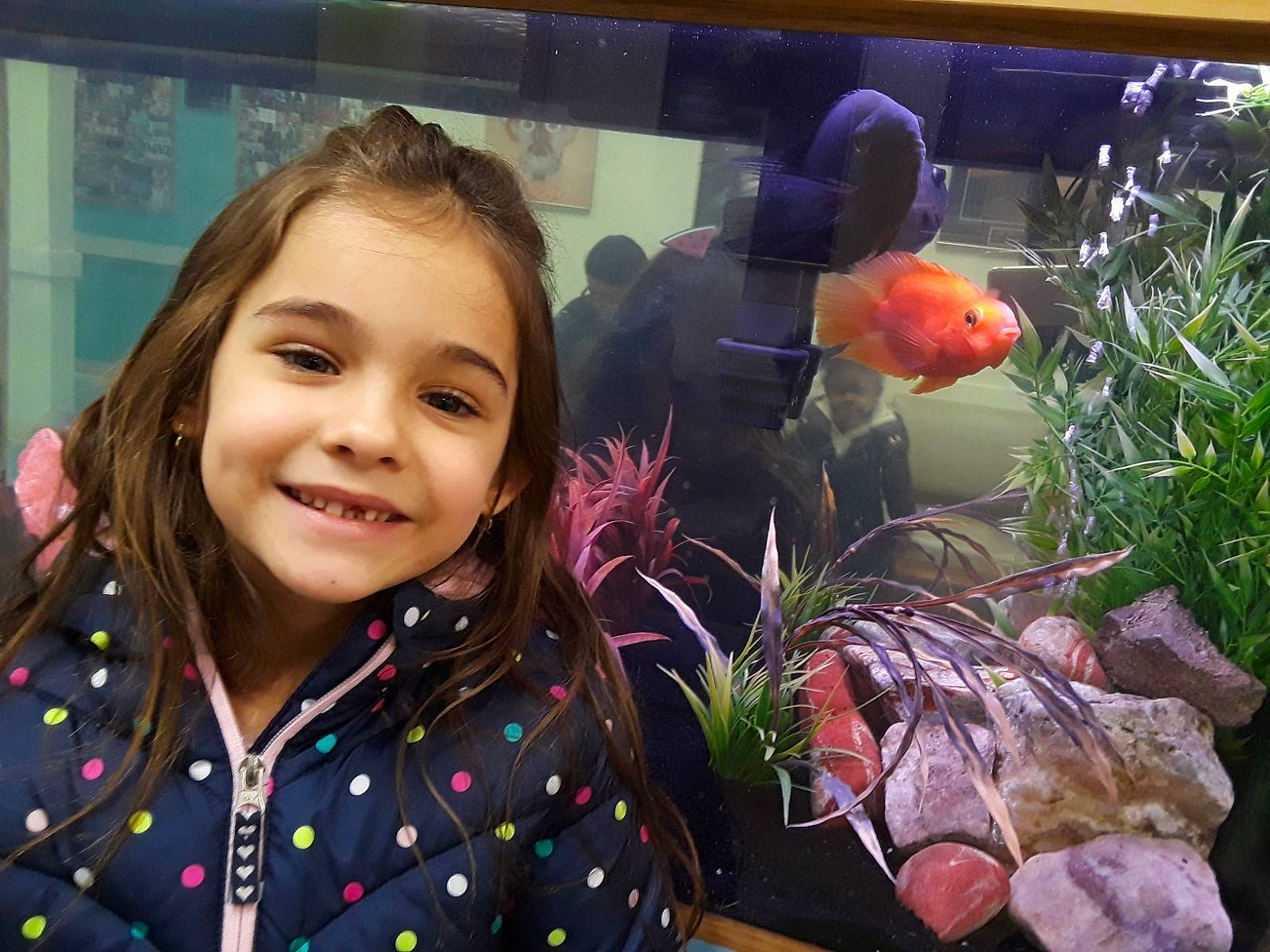 Ana Clara joined the competition — help win amazing prizes! child, flower, fun, girl, iris, joy, person, plant, smile, vertebrate