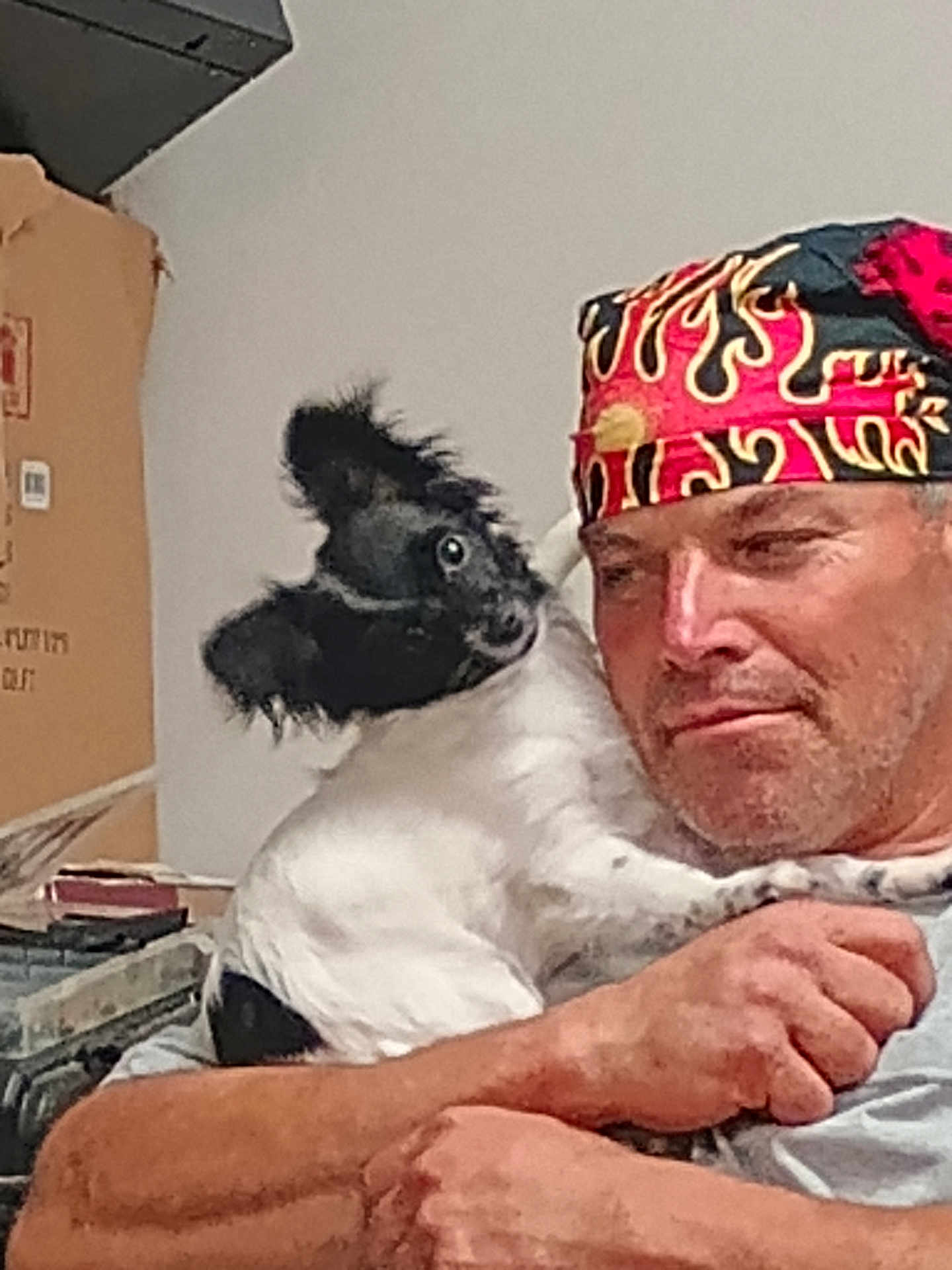 Izzy