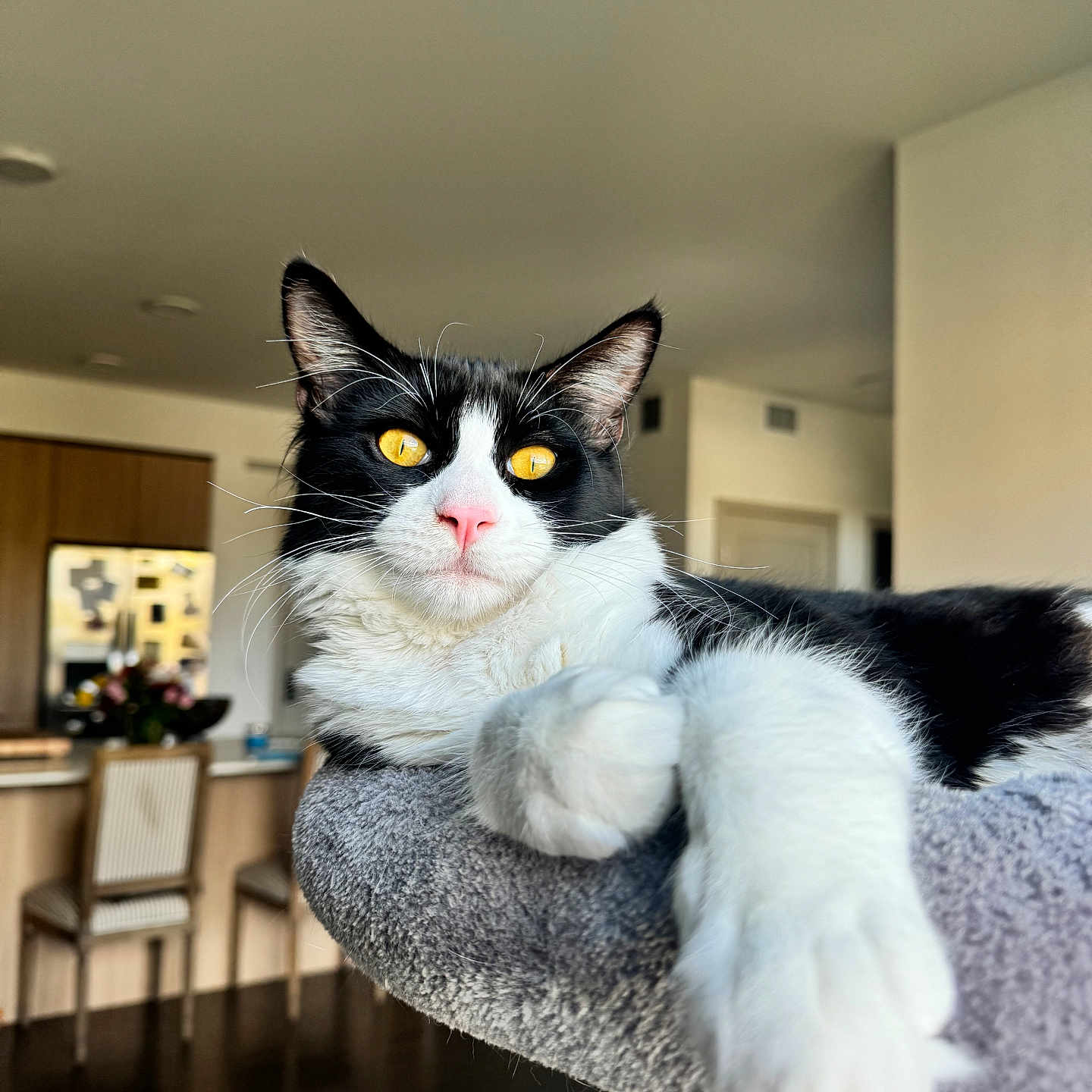 Baxter