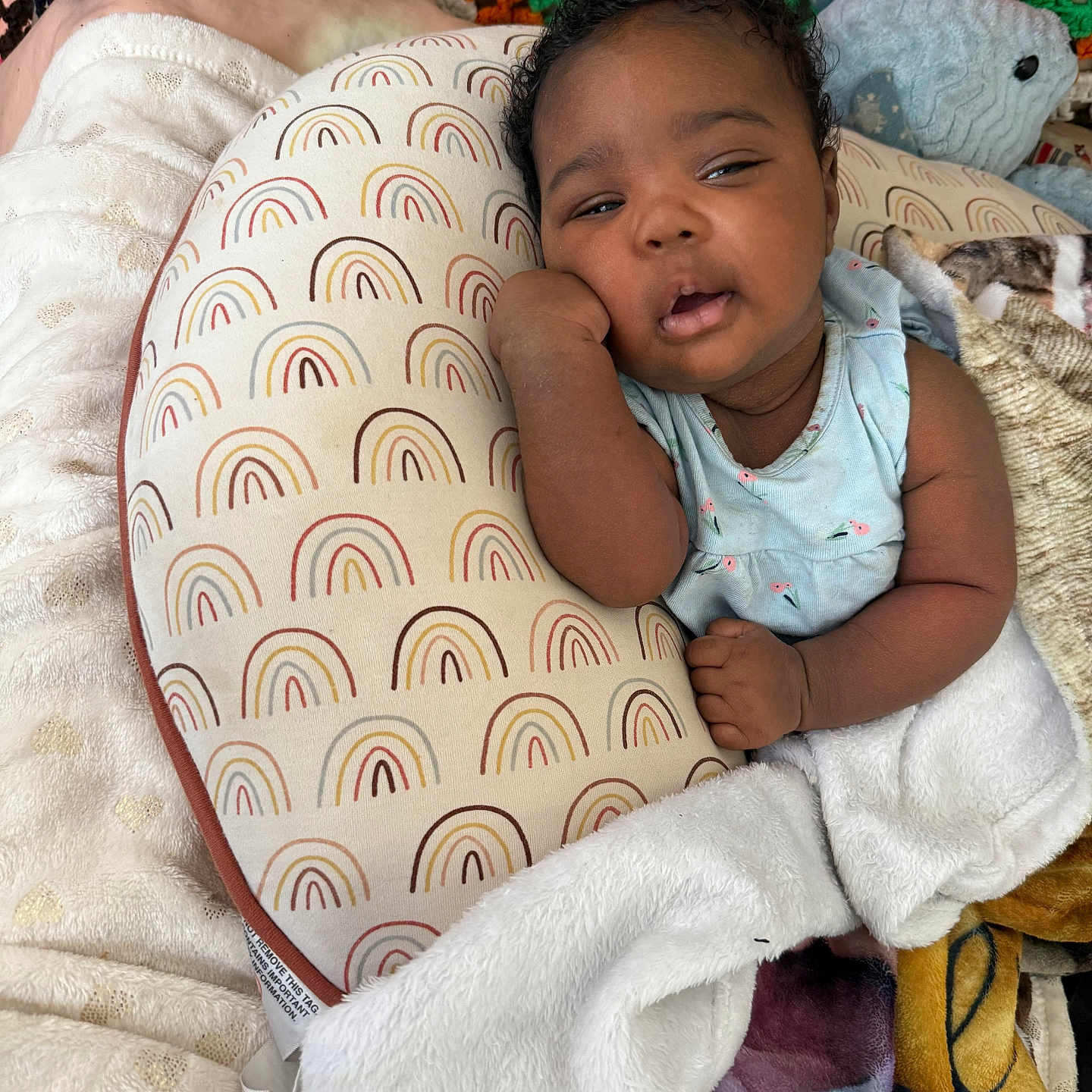 Amaiyah
