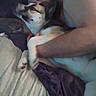 affection, arm, bed, blanket, canine, closeup, comfort, dog, face, hug, human, indoor, man, pet, purple, rest, skin, snuggle, tattoo, white