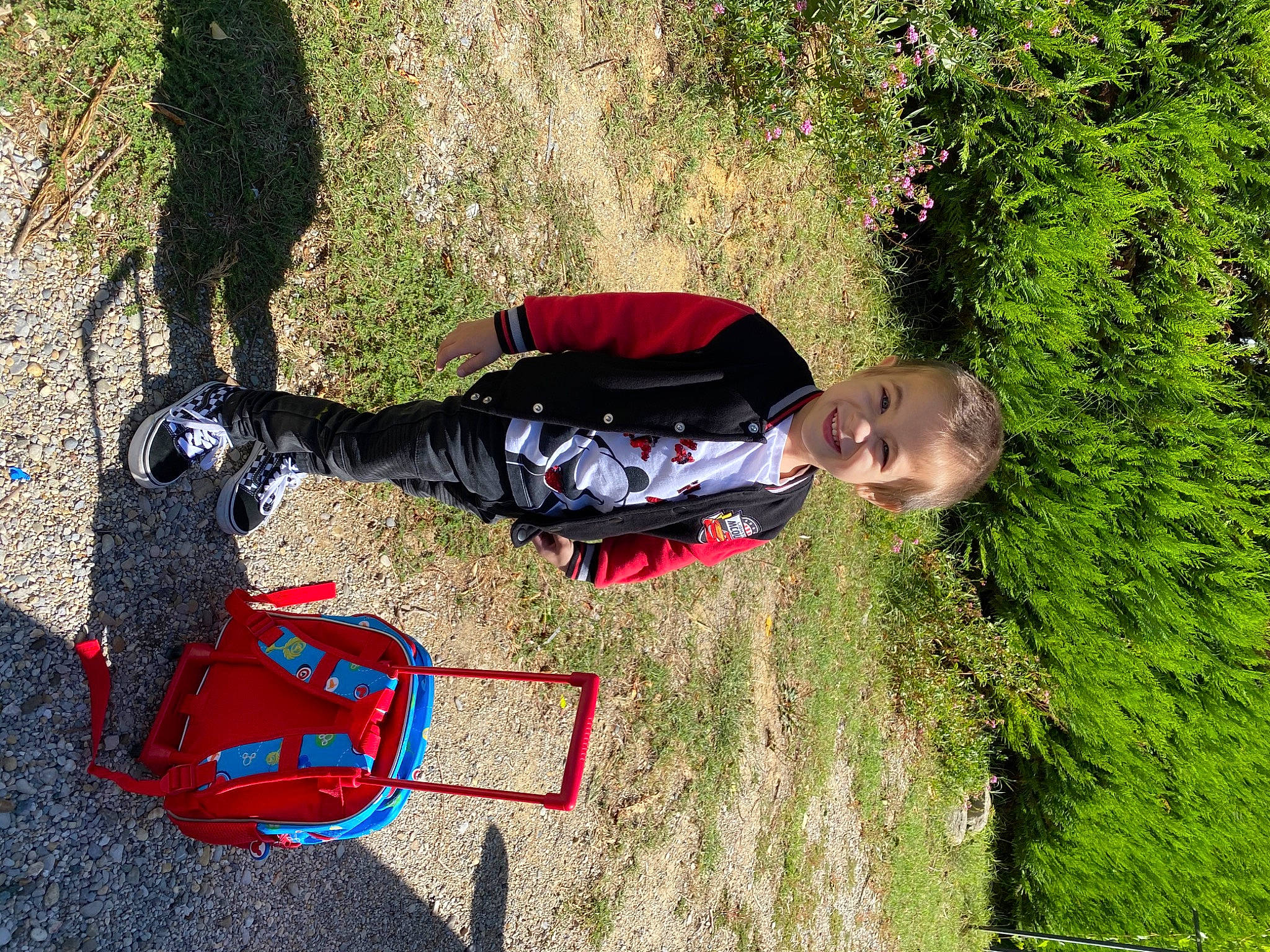 Mathis participe au concours pour gagner de l'argent avec cette photo : grass, joy, person, tree, vehicle