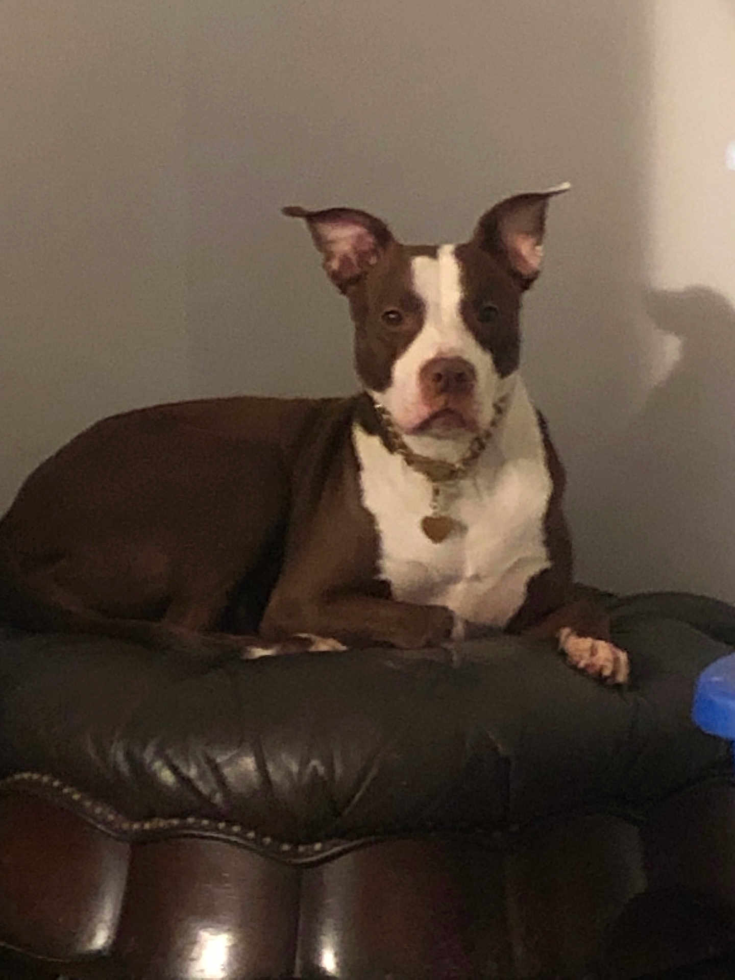 Missy