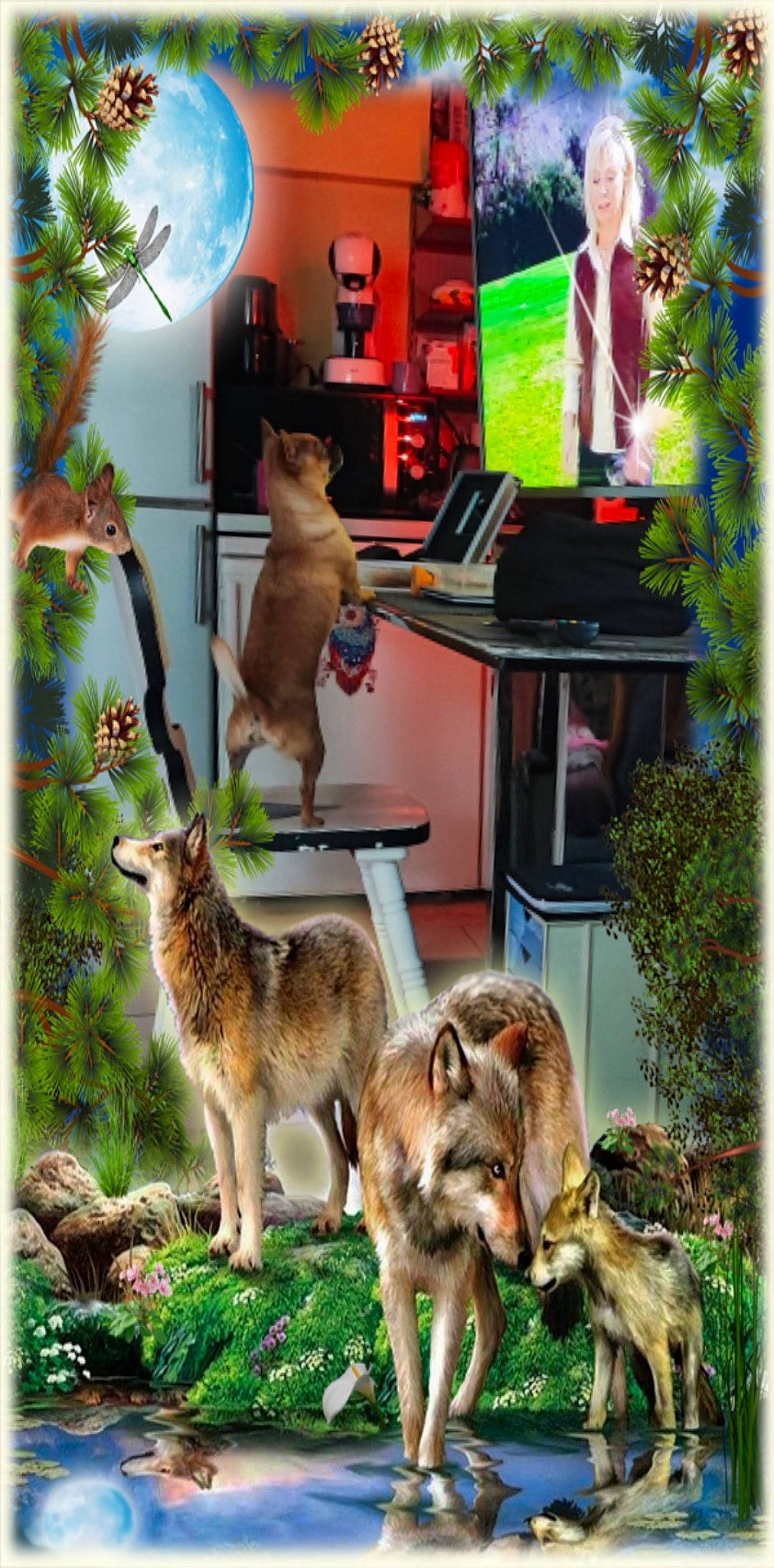 Gipsy a rejoint le concours — aidez-le/la à gagner de superbes lots ! art, canidae, carnivore, dog_breed, fawn, felidae, flowerpot, fur, grass, houseplant, plant, sculpture, tail, terrestrial_animal, wildlife, zoo