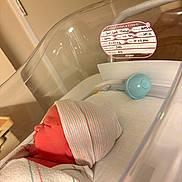 Evelyn joined the competition — help win amazing prizes! newborn, baby, hospital, bassinet, blanket, hat, sleeping, infant, medical, bed, indoor, congratulations_label, person, side_view, wrapped, peaceful, soft_light, nursery, healthcare, cute