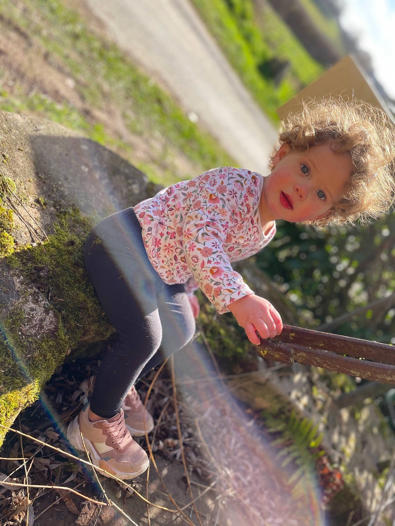 Laurie a rejoint le concours — aidez-le/la à gagner de superbes lots ! child, fawn, fun, grass, grass_family, grassland, happy, landscape, leisure, pattern, people_in_nature, person, plant, play, recreation, soil, sunlight, toddler, toy, tree