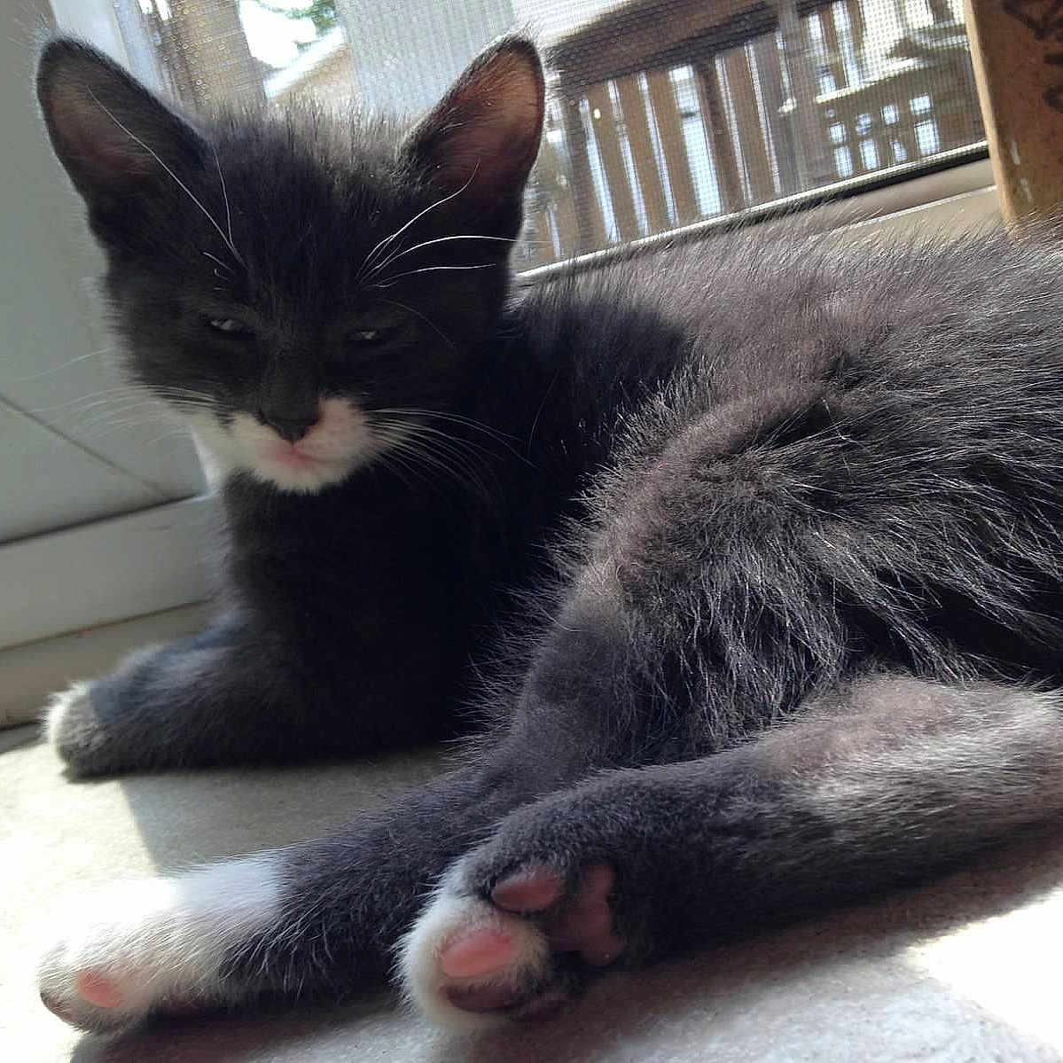 Benjamin joined the competition — help win amazing prizes!