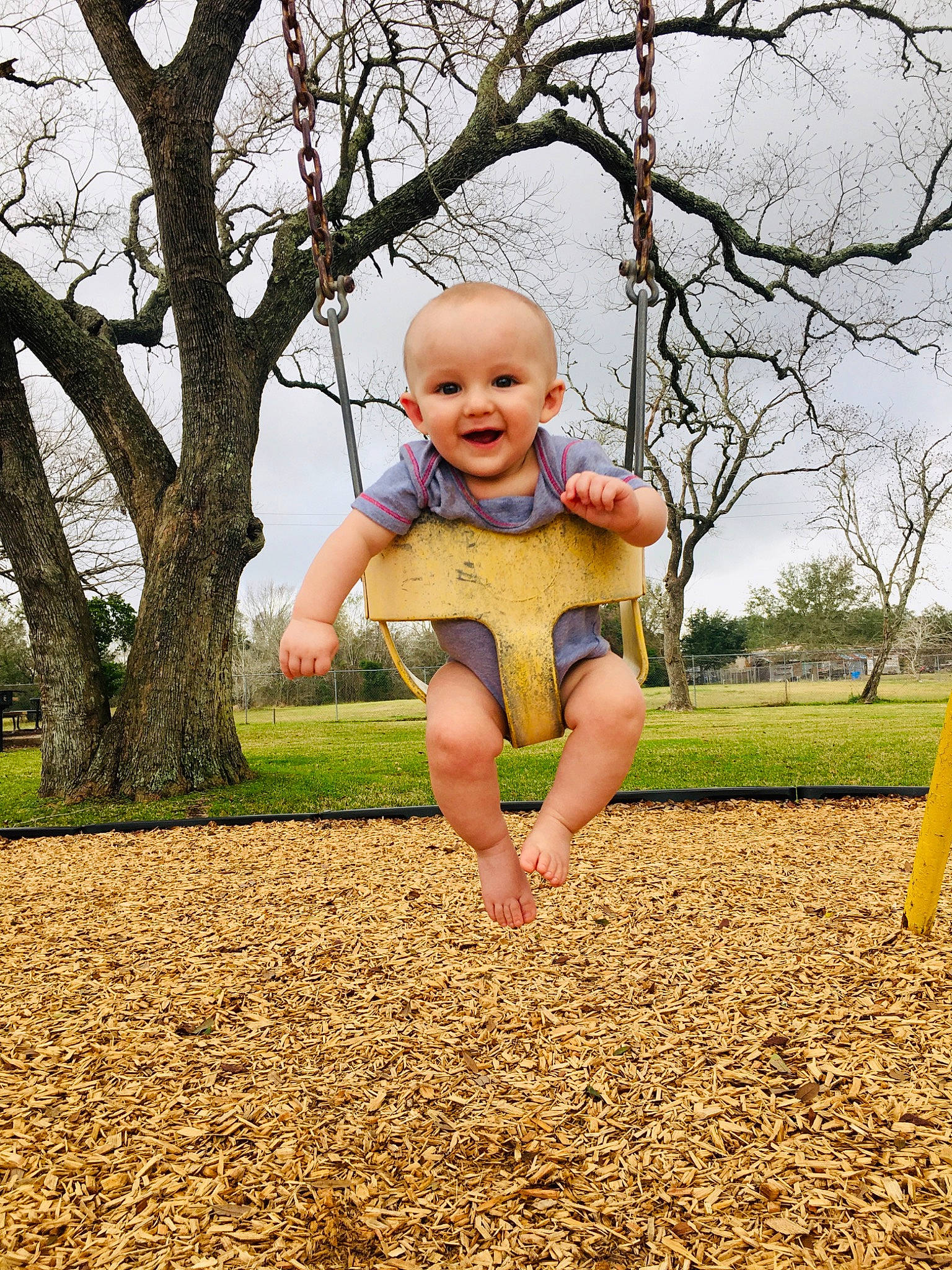 Daxton is registered to the contest to win money with this photo: branch, child, fun, grass, happy, human_settlement, joy, leaf, people_in_nature, person, photography, plant, play, playground, public_space, recreation, smile, soil, spring, toddler