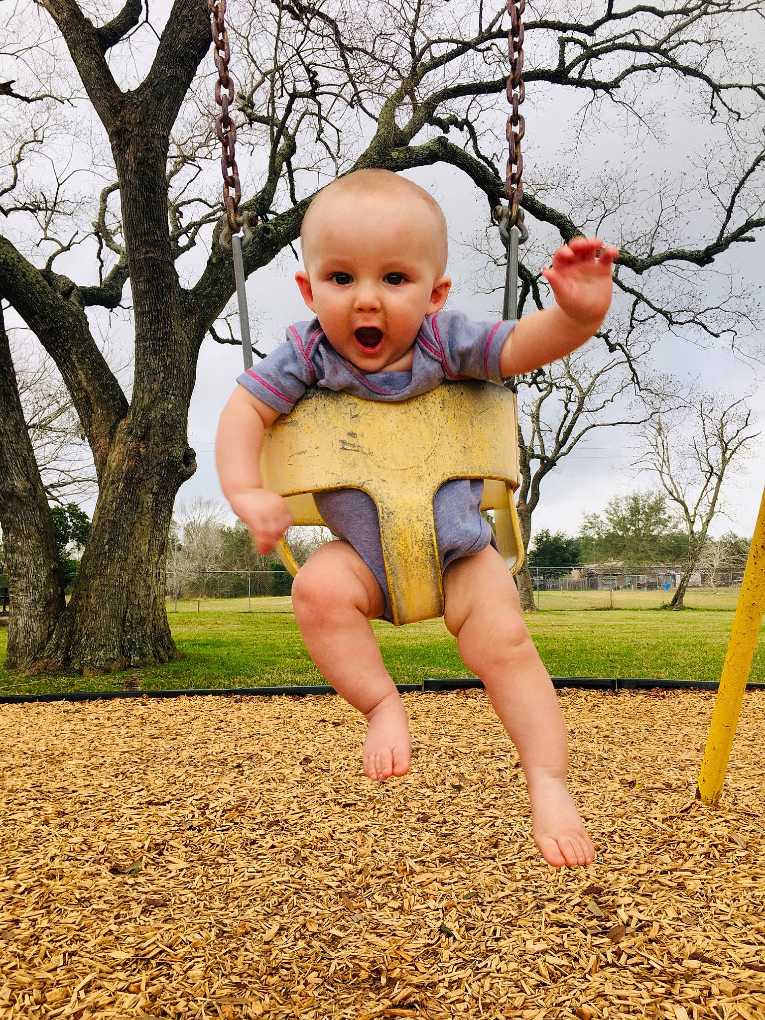 Daxton is registered to the contest to win money with this photo: baby, branch, child, city, fun, grass, happy, human_settlement, leaf, outdoor_play_equipment, person, plant, play, playground, public_space, recreation, smile, spring, surprise, swing