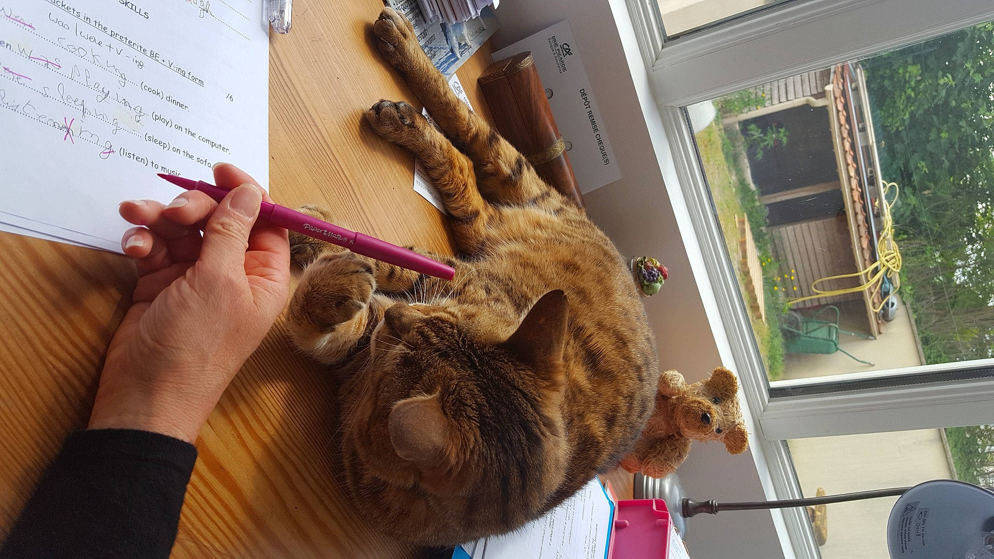 Caramel participe au concours pour gagner de l'argent avec cette photo : art, carnivore, cat, claw, domestic_short_haired_cat, ear, fawn, felidae, fur, gesture, mammal, nail, natural_material, organism, small_to_medium_sized_cats, tail, terrestrial_animal, whiskers, wood, wool