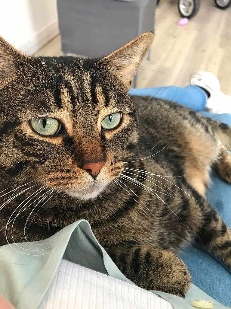 Rey