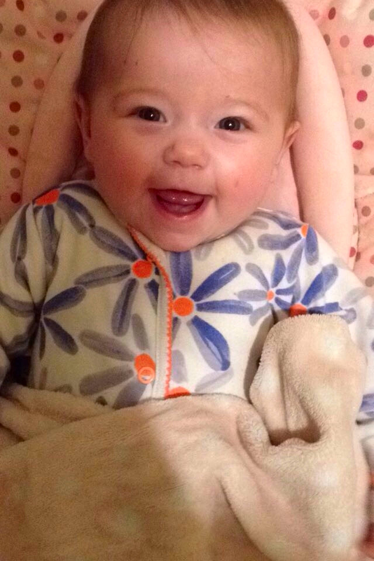 Lexi-may is registered to the contest to win money with this photo: boy, child, ear, eye, face, facial_expression, finger, hand, head, human_body, human_positions, infant, male, mouth, nose, organ, person, play, skin, toddler