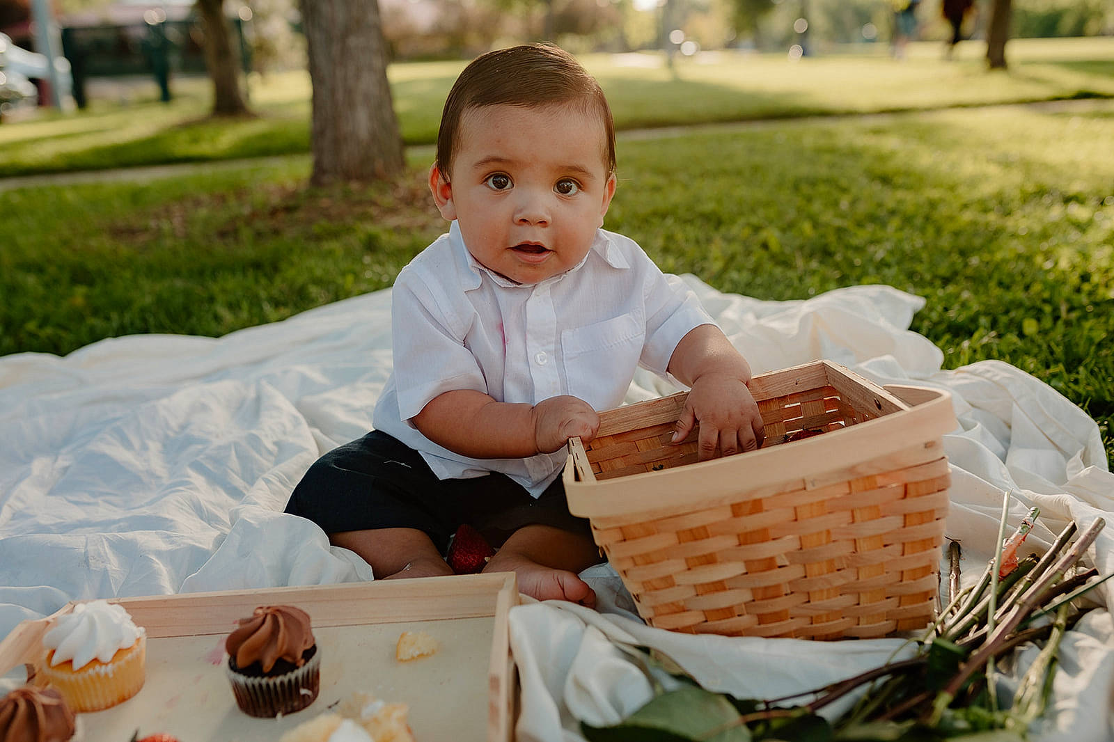 Abraham joined the competition — help win amazing prizes! baby, baby_toddler_clothing, basket, child, event, fun, grass, happy, leisure, natural_foods, people_in_nature, person, picnic_basket, plant, recreation, sitting, storage_basket, summer, toddler, tree
