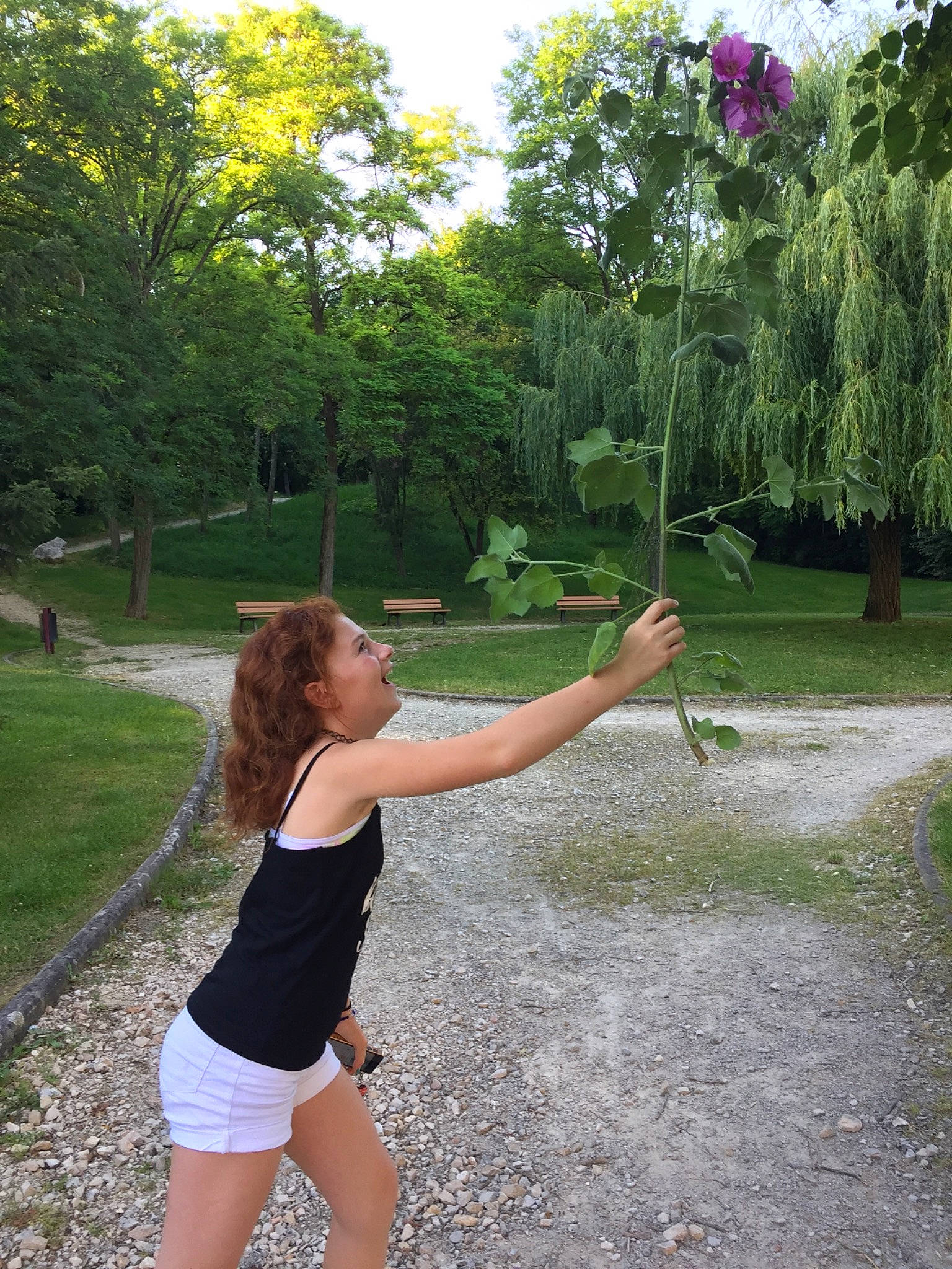 Aglae participe au concours pour gagner de l'argent avec cette photo : fun, grass, joint, leaf, leg, person, plant, summer, tree