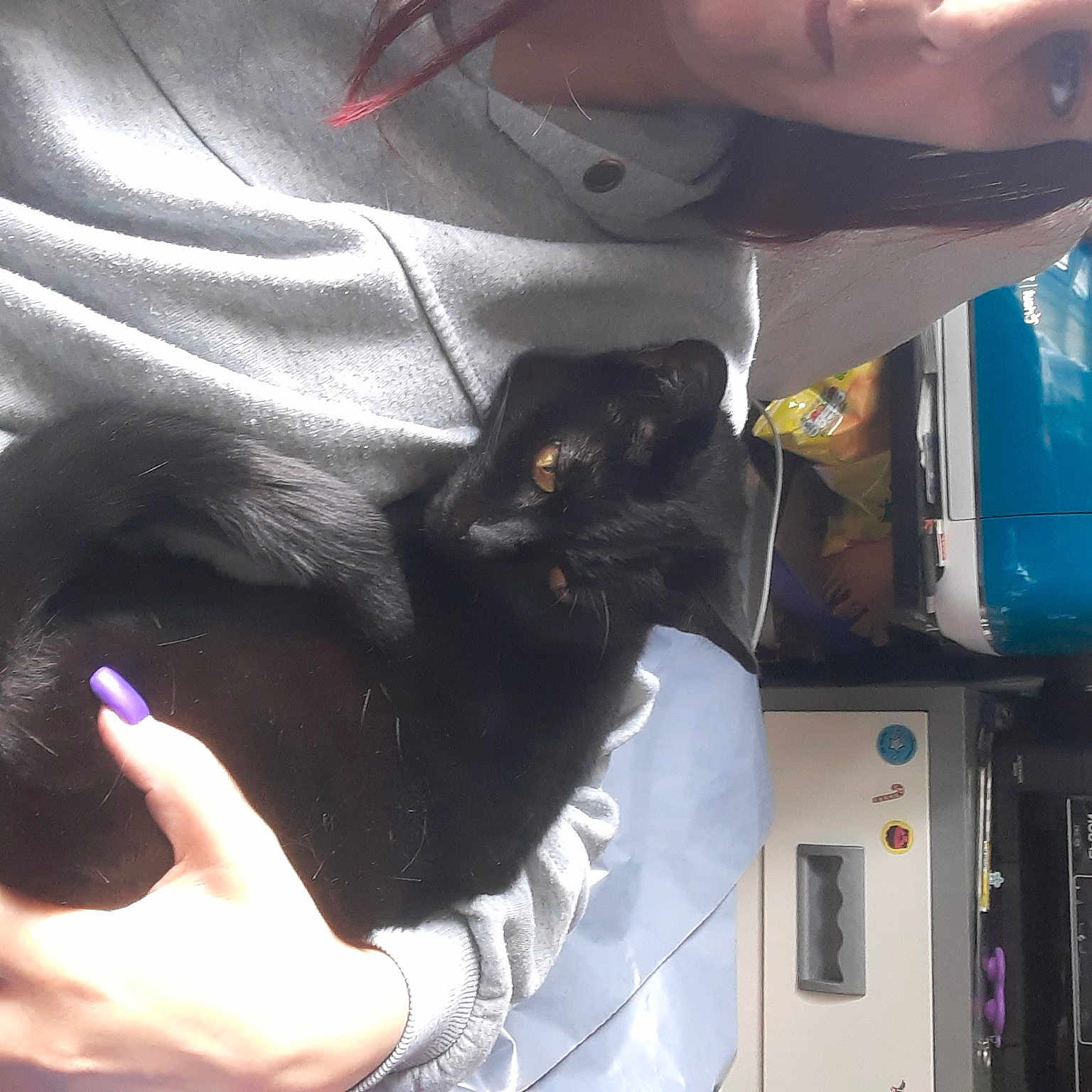 Marmite joined the competition — help win amazing prizes! carnivore, cat, comfort, domestic_short_haired_cat, elbow, electric_blue, felidae, finger, fur, gesture, hand, machine, nail, room, small_to_medium_sized_cats, thumb, whiskers, wrist