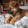 Athena