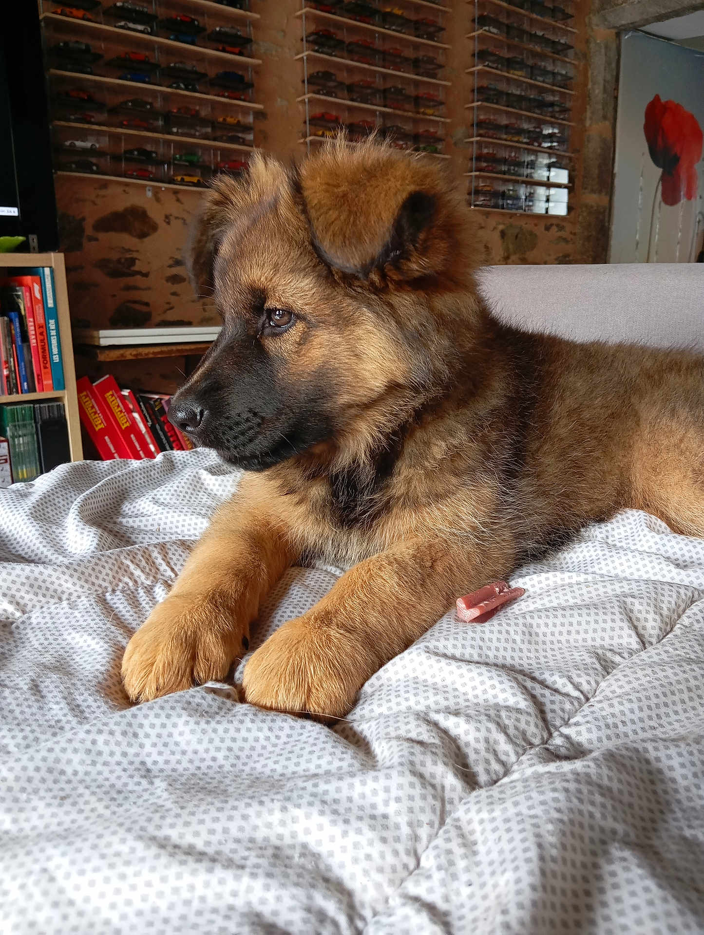 Athena