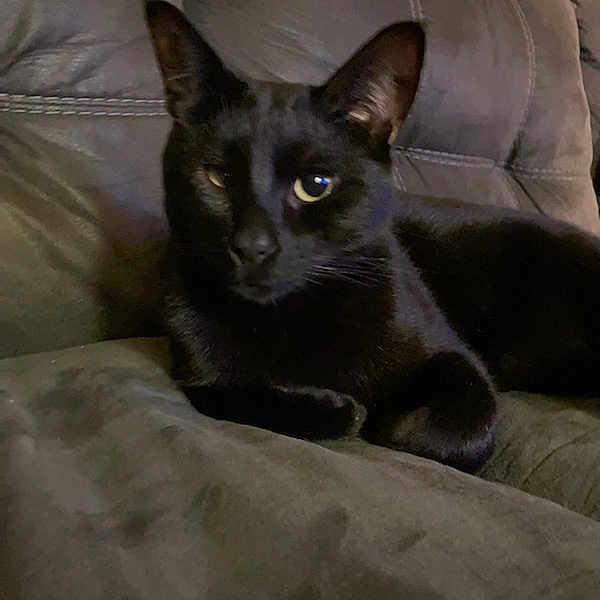 Bruce Aka Batman
