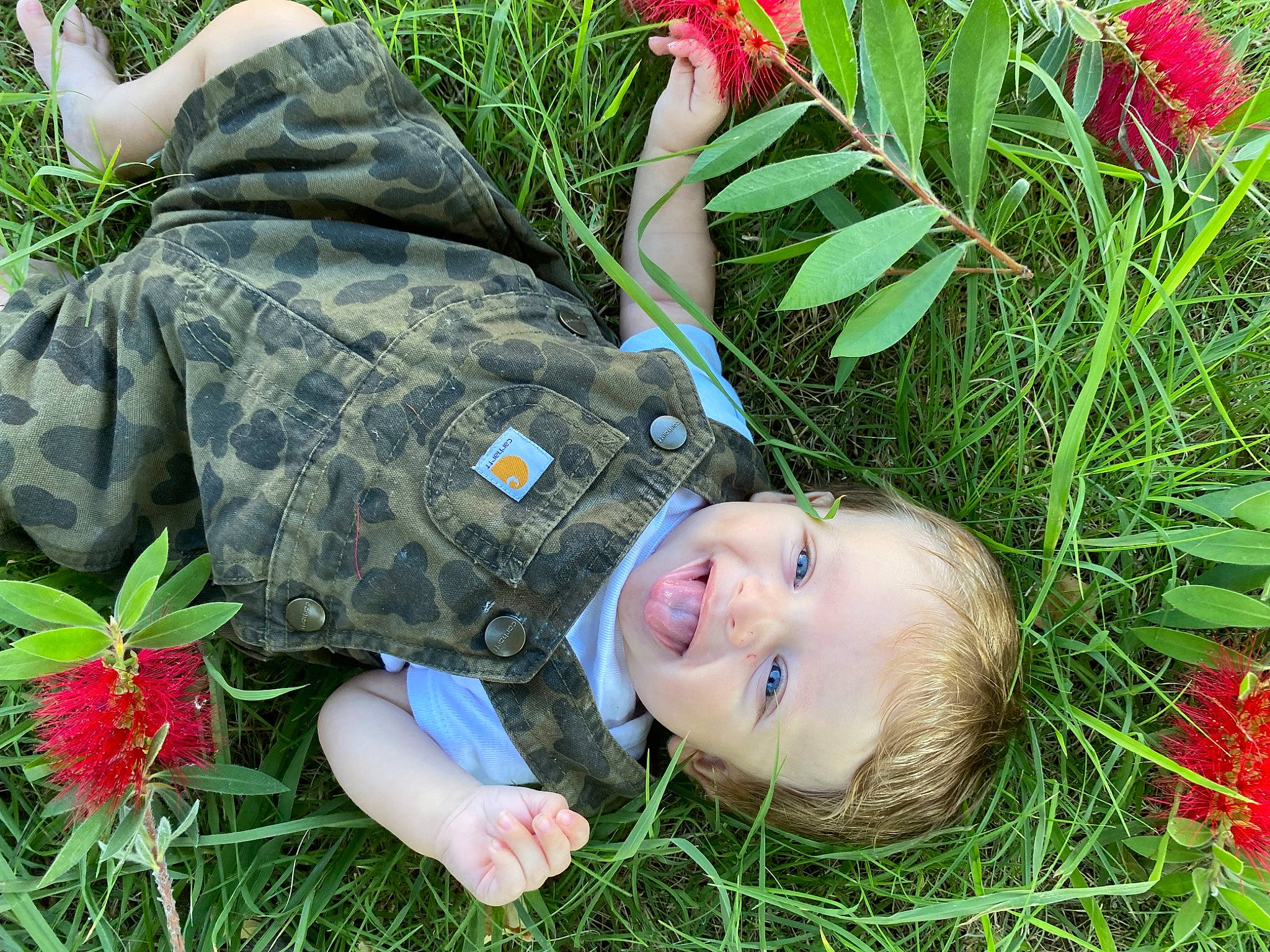 Tracey joined the competition — help win amazing prizes! camouflage, flower, grass, grass_family, green, groundcover, happy, lawn, leaf, military_camouflage, nature, people_in_nature, person, petal, plant, shrub, smile, terrestrial_plant, toddler, tree