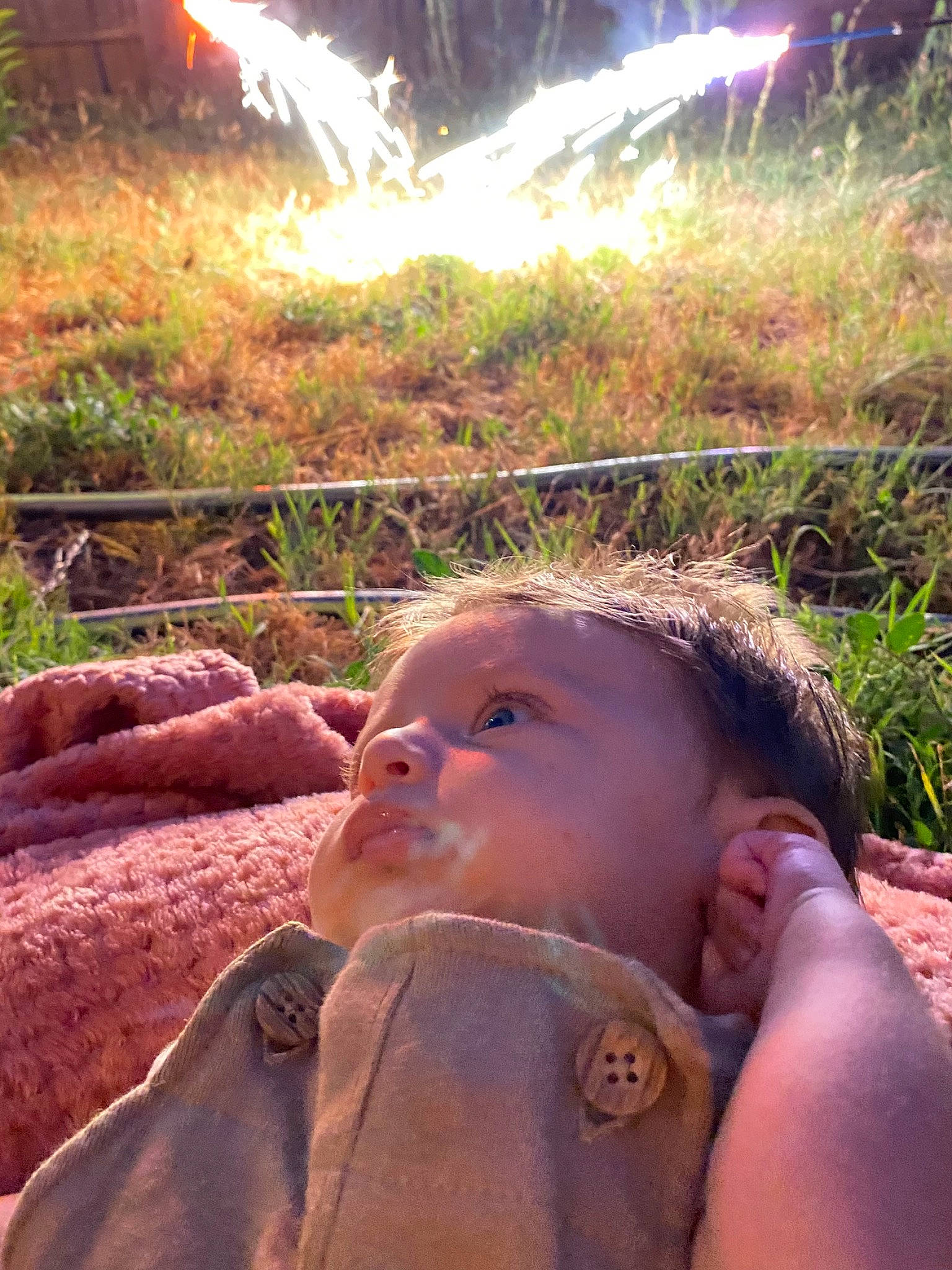 Tracey is registered to the contest to win money with this photo: baby, fun, grass, green, hand, happy, human, leaf, leisure, light, morning, nature, people_in_nature, person, photograph, plant, summer, sunlight, tree, wood