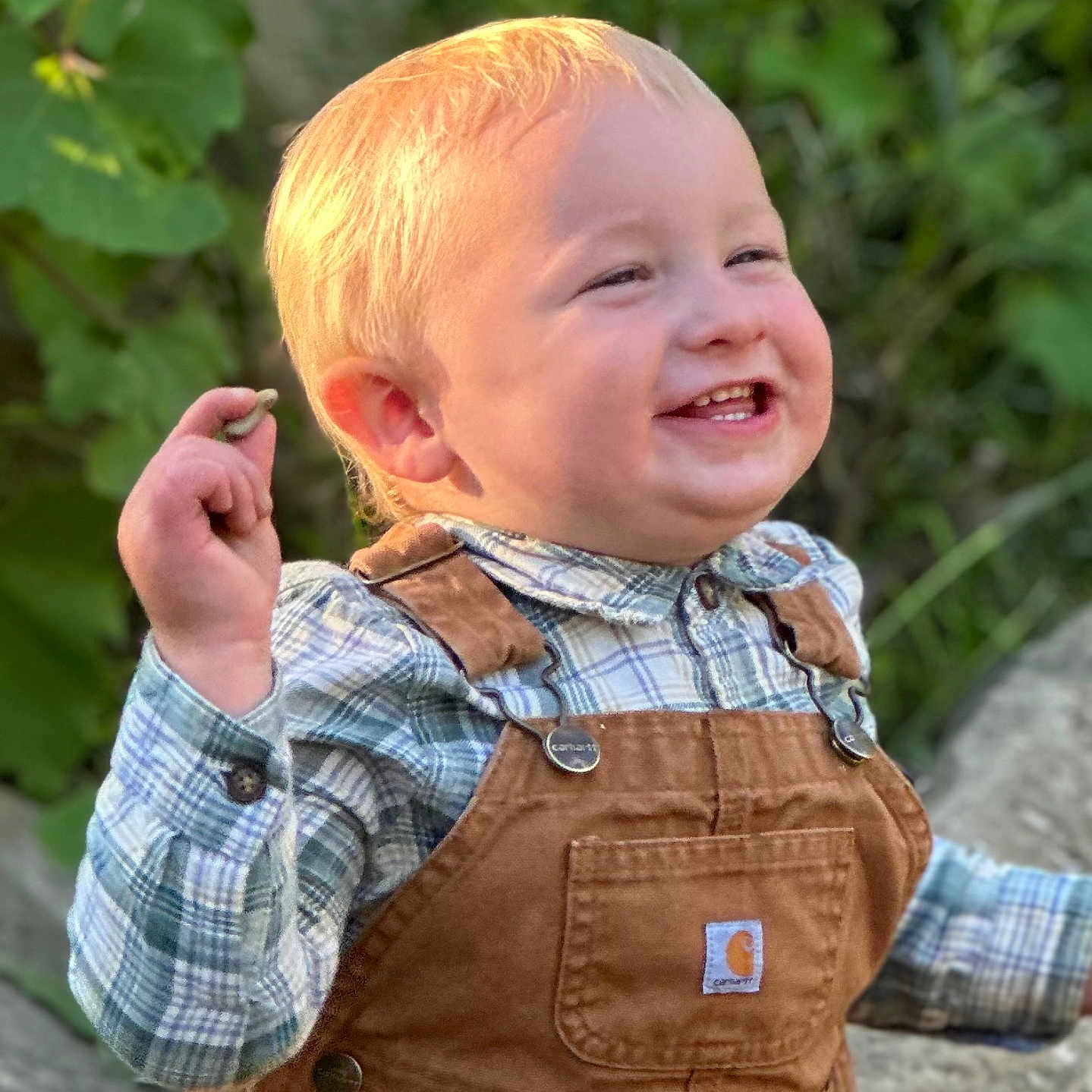 Carson is registered to the contest to win money with this photo: baby, blond_hair, brown_overalls, casual_clothing, cheerful, child, cute, daylight, greenery, happy, nature, outdoor, person, plaid_shirt, portrait, rock, small_object, smiling, sunlight, toddler