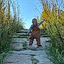 adventure, back_view, casual_clothing, child, daytime, exploring, grass, greenery, nature, outdoors, overalls, pathway, plaid_shirt, plants, sky, stone_path, sunlight, toddler, walking, young_child