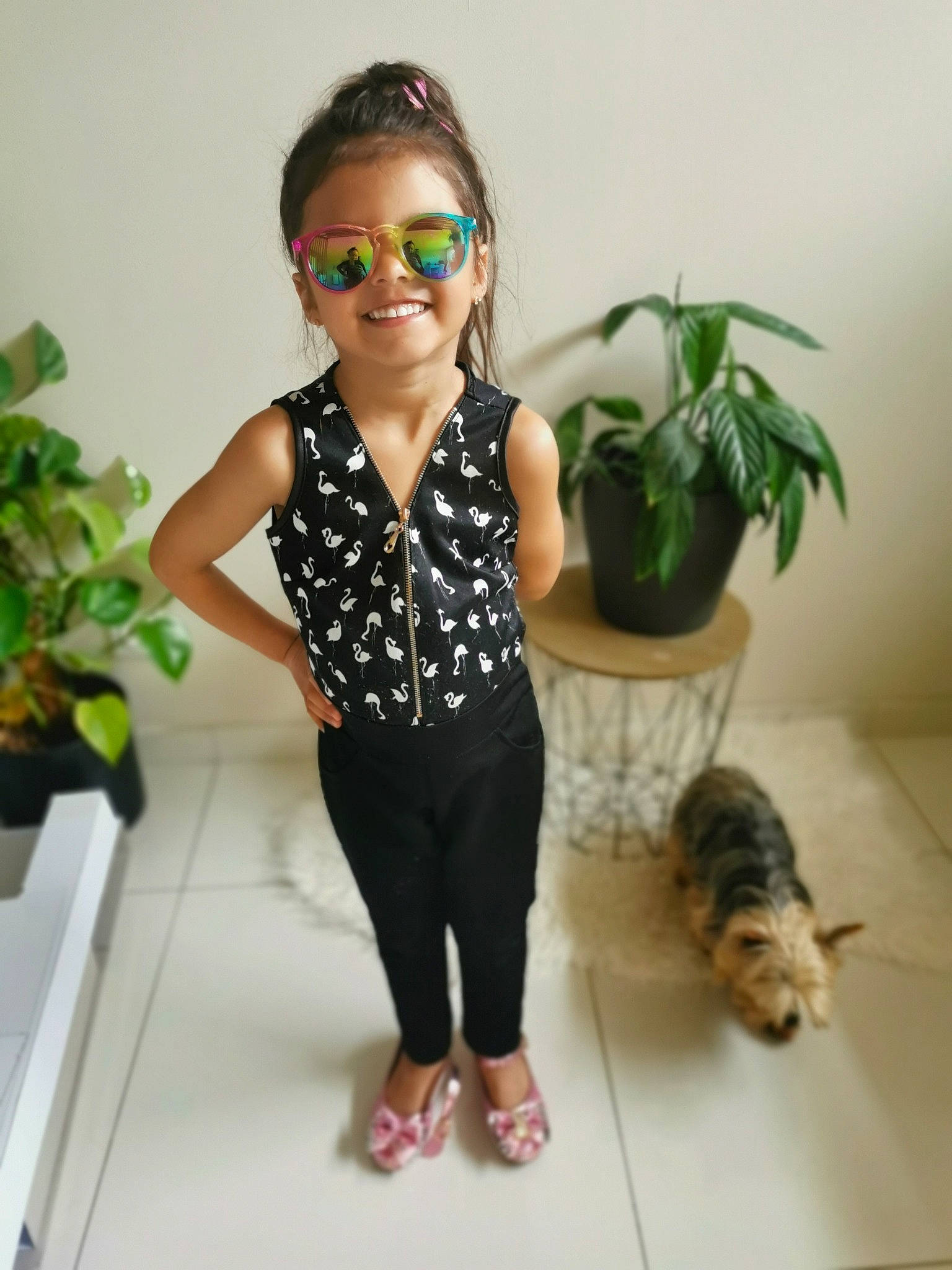 Ashley participe au concours pour gagner de l'argent avec cette photo : arm, carnivore, cat, companion_dog, dog_breed, eyewear, felidae, flooring, flowerpot, goggles, hair, happy, houseplant, joy, neck, person, plant, shoulder, small_to_medium_sized_cats, sunglasses
