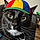 Dr.mittens