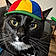 Dr.mittens
