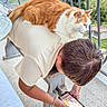 balcony, bench, casual, cat, daylight, greenery, hair, looking_down, orange_cat, outdoor, person, phone, railing, relaxed, scenery, sitting, tablet, technology, terrace, white_cat
