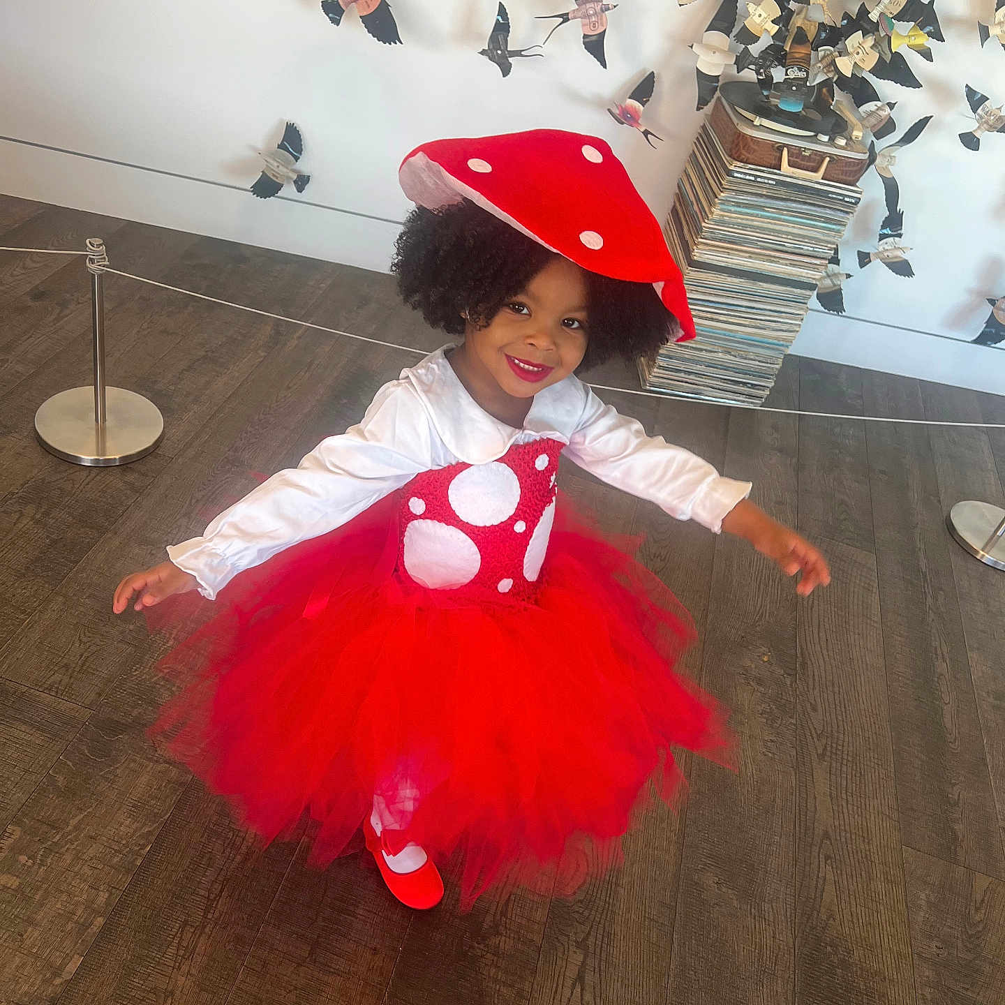 Erymi is registered to the contest to win money with this photo: animal, bird, child, clothing, costume, dancing, dress, face, female, girl, hardwood, hat, head, indoors, interiordesign, leisureactivities, person, photography, portrait, wood