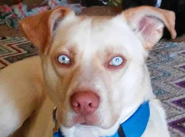 Odin
