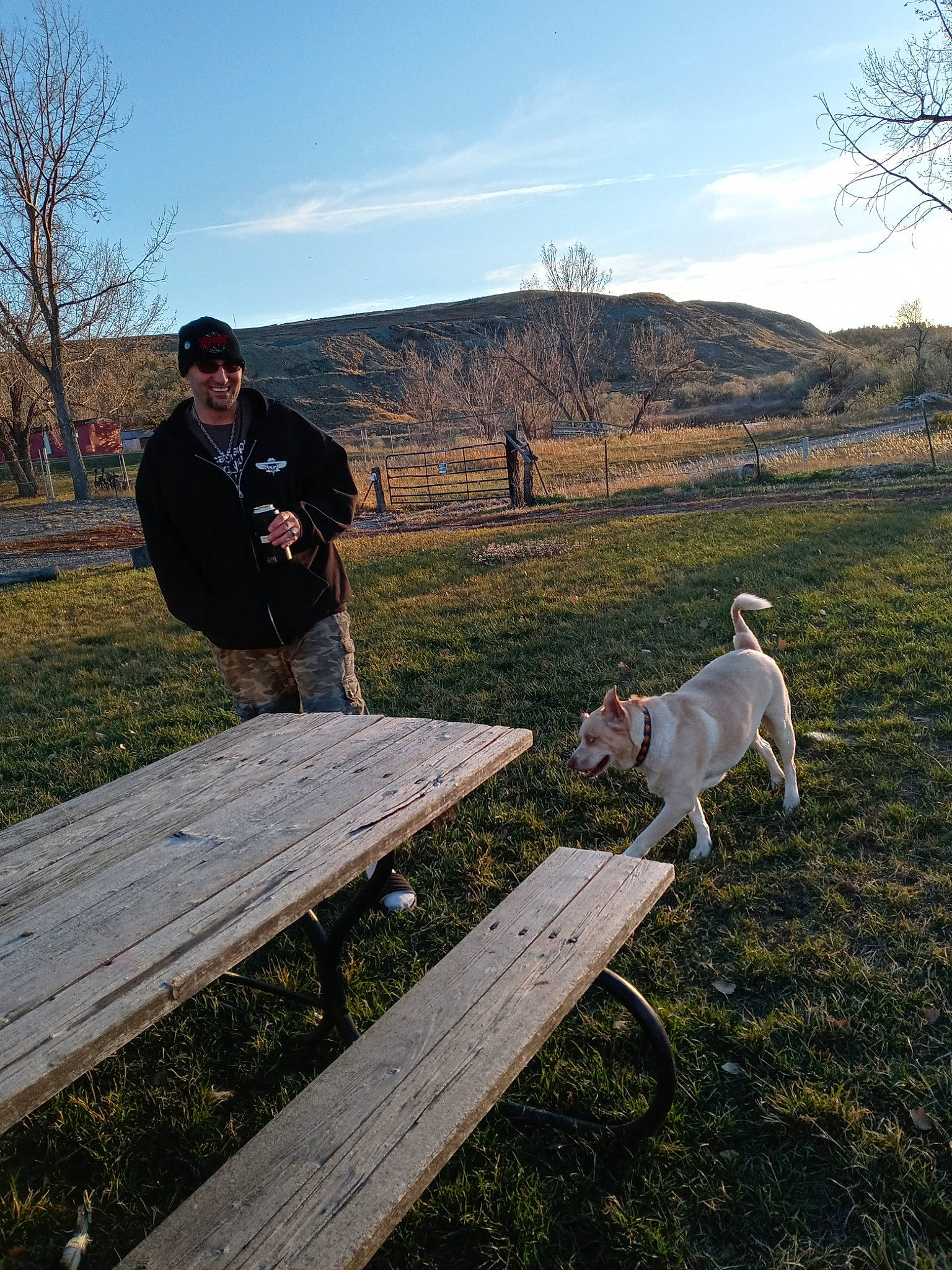 Odin Drake Moody-habets joined the competition — help win amazing prizes! bench, carnivore, cloud, companion_dog, dog, dog_breed, fawn, furniture, grass, grassland, landscape, meadow, outdoor_bench, outdoor_furniture, plant, rural_area, sky, table, tree, wood