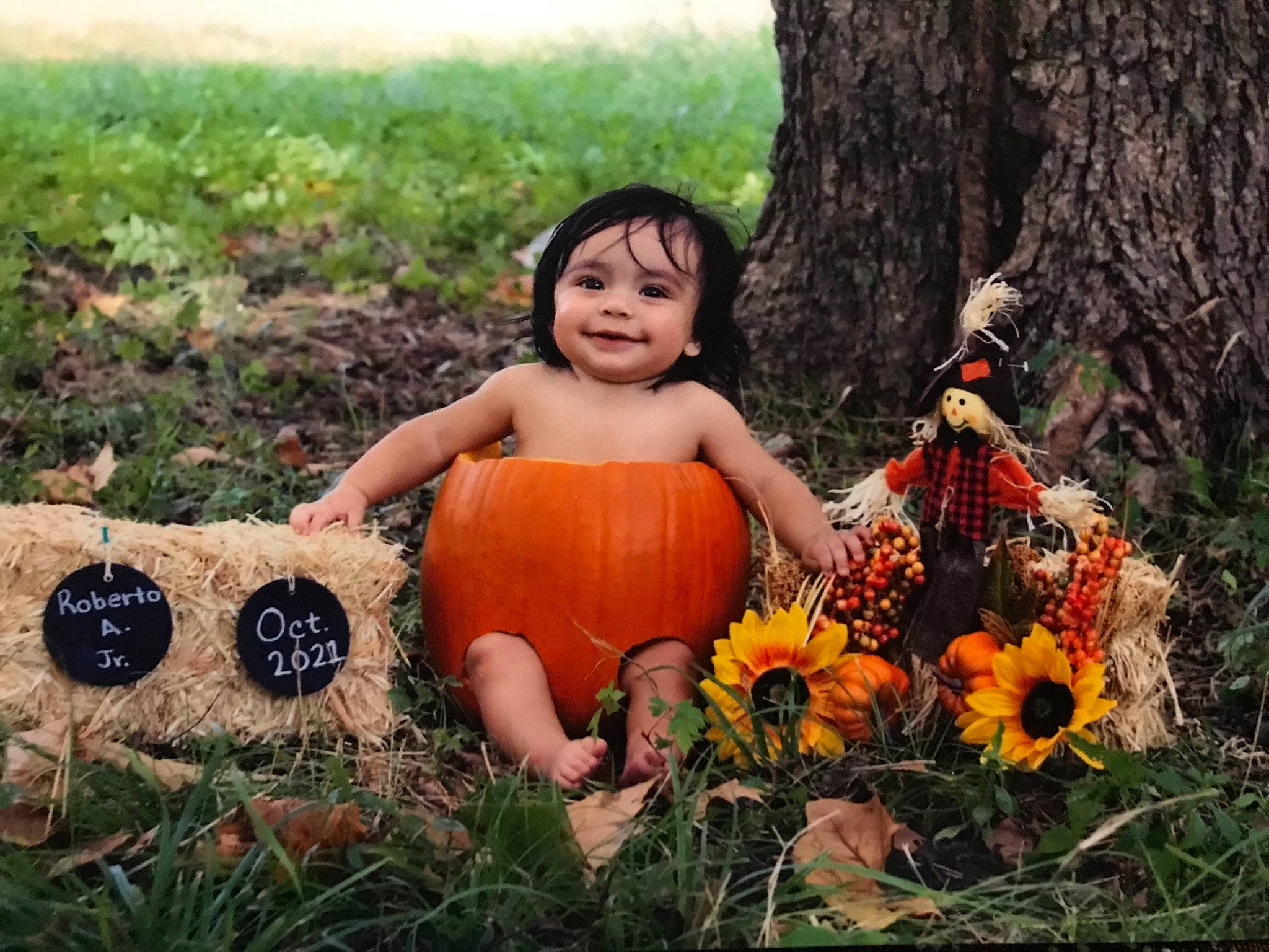 Roberto Jr is registered to the contest to win money with this photo: child, dress, eye, face, flower, fun, grass, happy, joy, landscape, leaf, leisure, meadow, people_in_nature, person, petal, plant, pumpkin, smile, toddler