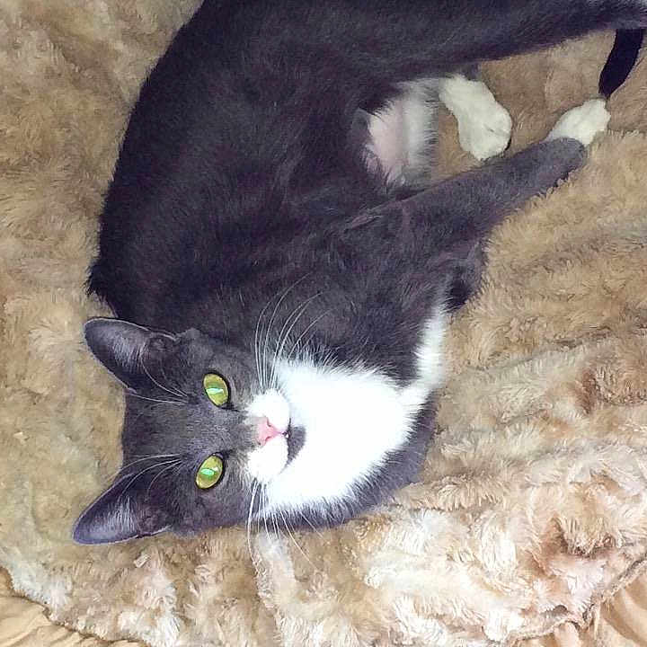 Missy