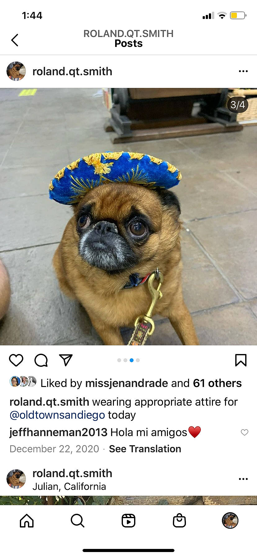 Roland is registered to the contest to win money with this photo: advertising, canidae, carnivore, companion_dog, dog, dog_breed, dog_supply, fawn, flooring, font, pet_supply, photo_caption, pug, snout, sporting_group, terrestrial_animal, tire, toy_dog, working_animal, wrinkle