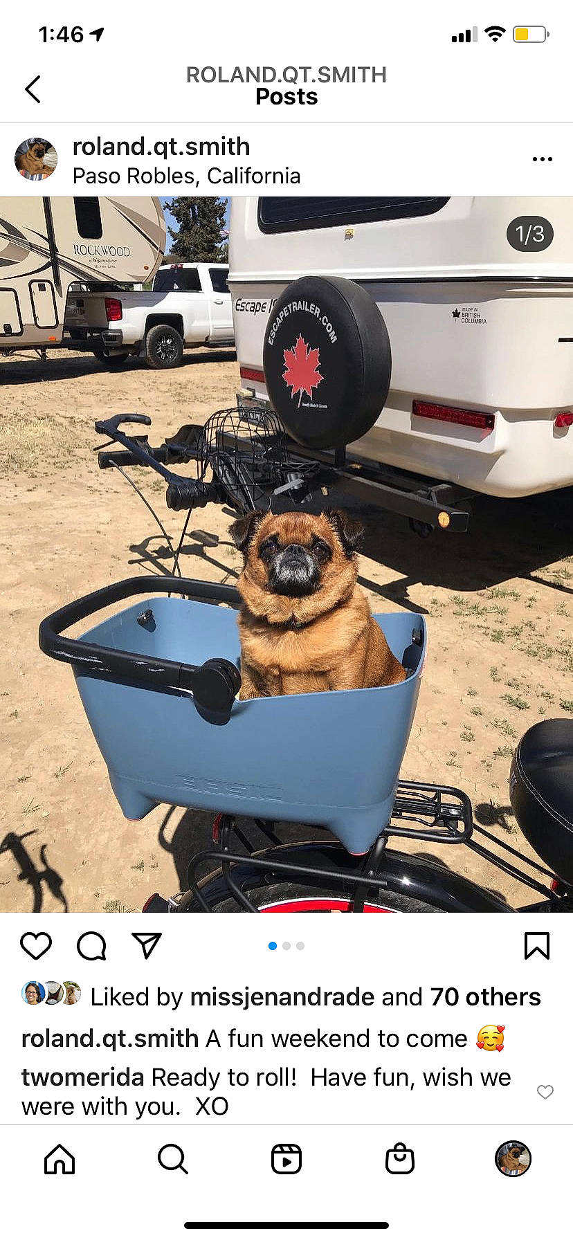 Roland is registered to the contest to win money with this photo: automotive_design, automotive_exterior, automotive_lighting, automotive_tail_brake_light, automotive_tire, bumper, car, carnivore, dog, dog_breed, fender, hood, light, mode_of_transport, motor_vehicle, product, tire, vehicle, wheel, window