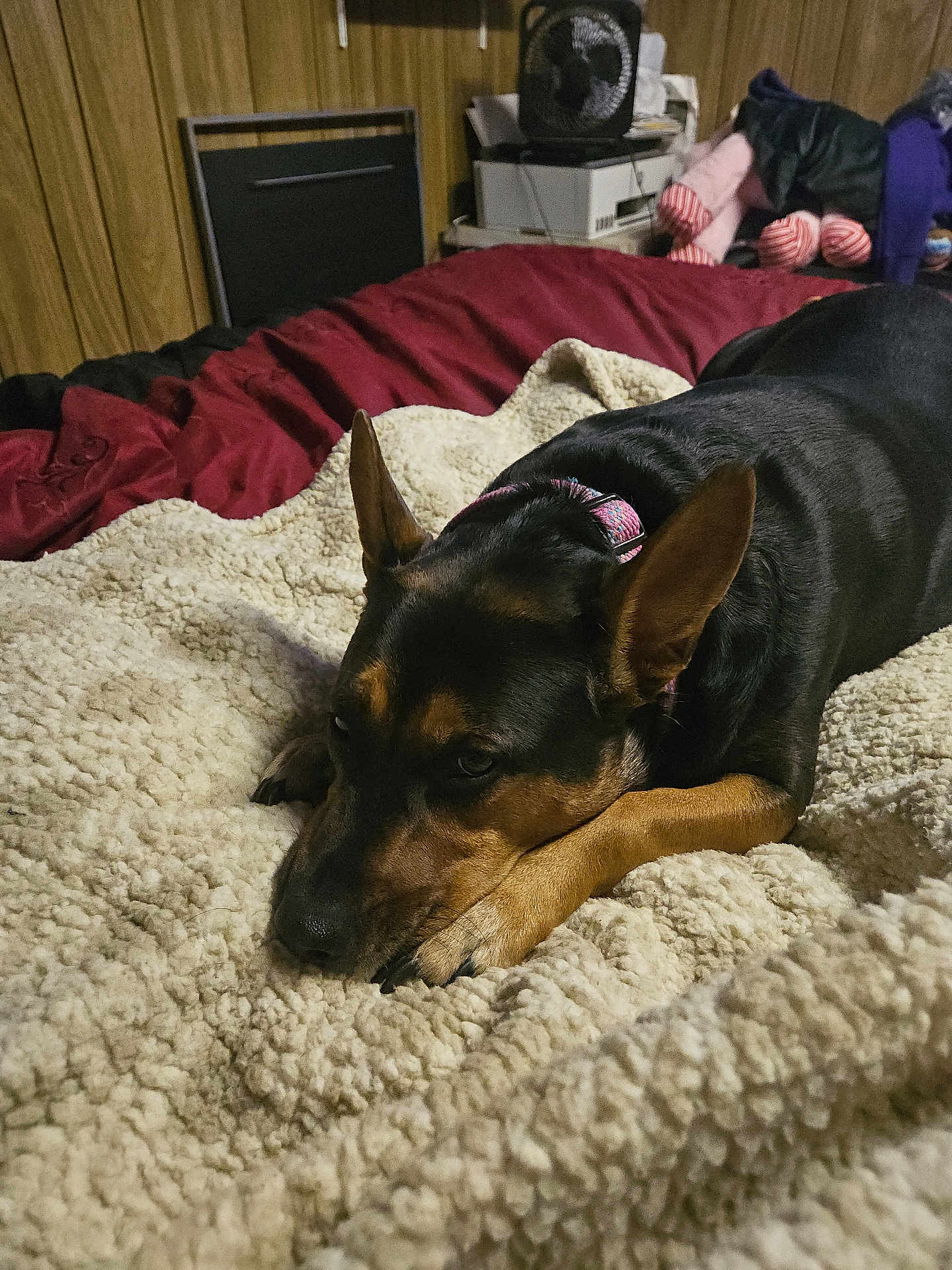 Nala