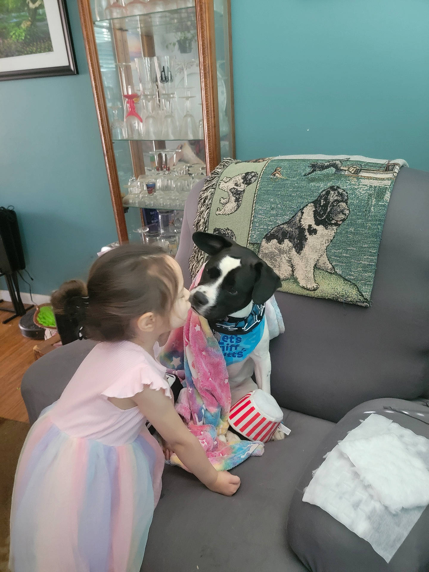 Patches is registered to the contest to win money with this photo: animal, architecture, building, canine, child, clothing, couch, dog, dress, face, female, furniture, girl, head, indoors, livingroom, person, photography, portrait, room